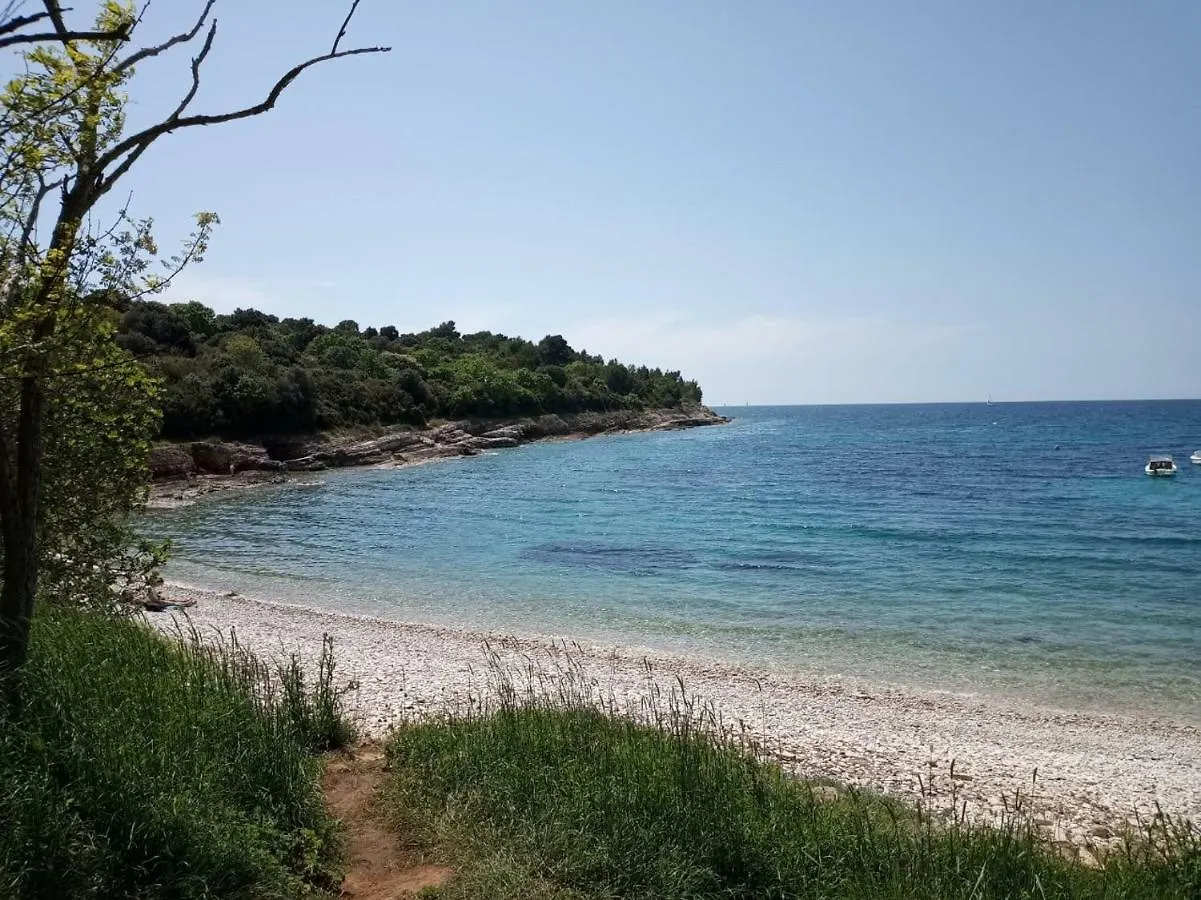 Apartman Suzy Pula